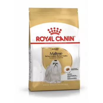 Sausas šunų ėdalas Royal Canin Maltese Adult 1,5 kg — vištiena, 24% baltymų, 18% riebalų