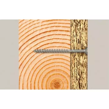 Fischer 670695 originalus Fischer gaminys