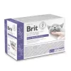 BRIT Veterinary Gastrointestinal Lamb šlapias ėdalas katėms - 12x85g