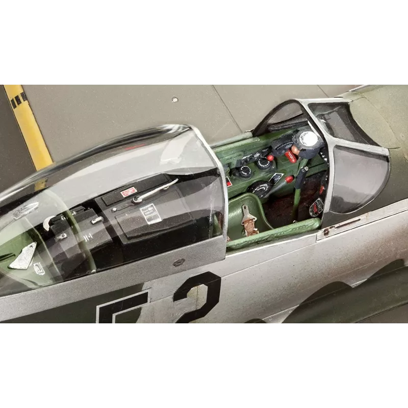 Plastikinis modelis P-51D-5NA Mustang 1:32