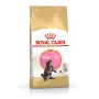 ROYAL CANIN Maine Coon Kitten – sausas ėdalas kačiukams – 4 kg