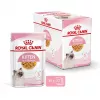 Šlapias kačių ėdalas Royal Canin Kitten Gravy 85 g – paukštiena