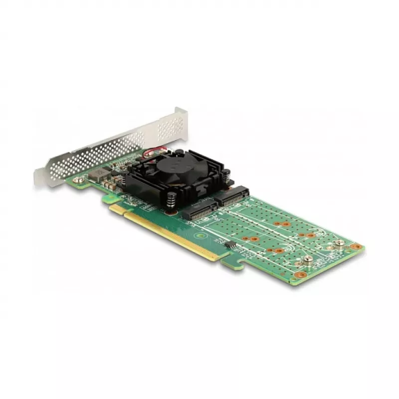 DeLOCK PCI Express x16 kortelė su 4 vidiniais NVMe M.2 Key M lizdais – Low Profile formos faktorius