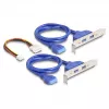 DeLOCK 61066 vidinis USB 3.2 Gen 1 adapteris M.2 (vyriškas) juodas