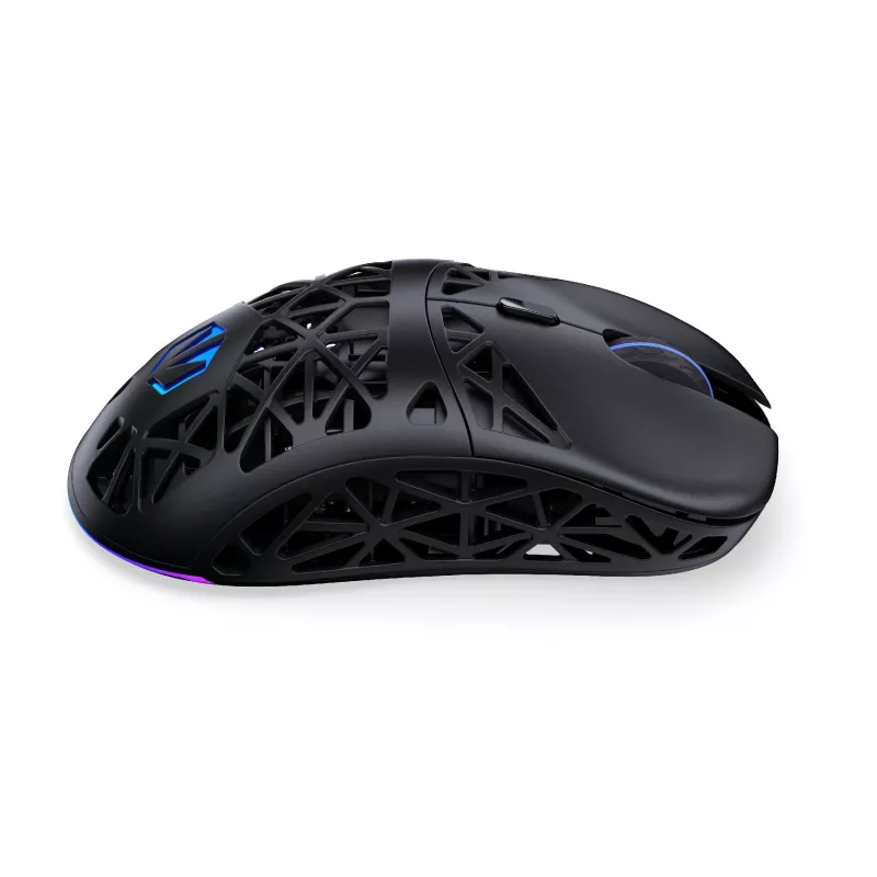 Belaidė pelė ENDORFY EY6A016 Bluetooth