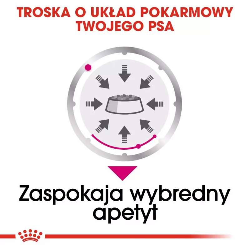 Šlapias šunų ėdalas Royal Canin Exigent Meat Universal 12×85 g – paukštiena, suaugusiems, išrankiems šunims