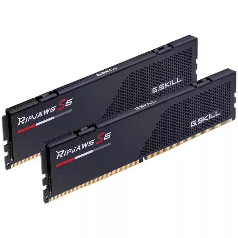 G.Skill F5-6000J3036F24GX2-RS5K atminties modulis 48 GB (2 x 24 GB) DDR5 5600 MT/s