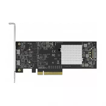 PCI Express x8 kortelė DeLOCK 89009, 2x USB-C, 20 Gbps