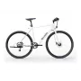 Sharp Gravel E-Bike 250W variklis App 70km Baltas glanz