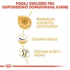 Sausas šunų ėdalas Royal Canin Bulldog Adult 12 kg – suaugusiems buldogams, vištienos skonis