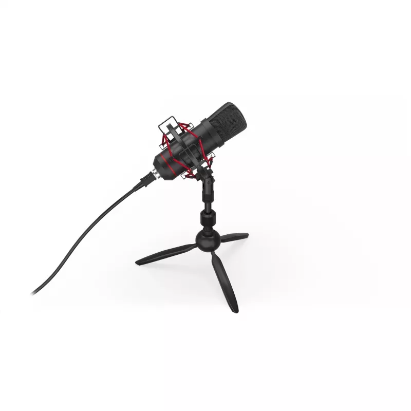 Mikrofonas PC ENDORFY Solum T