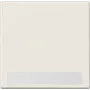 Jung LS 990 NA White (LS990NA) – Jungiklis ir kištukinis lizdas