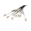 Breakout laidas Digitus DK-2433CU030BK-BBB 30m OM4 12 pluoštų LC/UPC