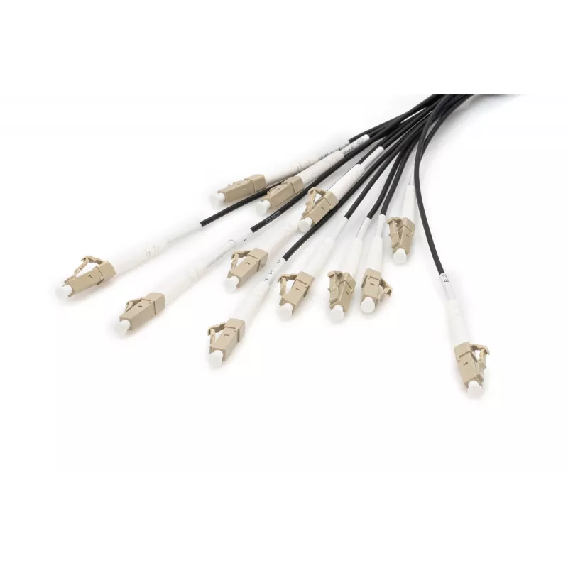 Breakout laidas Digitus DK-2433CU030BK-BBB 30m OM4 12 pluoštų LC/UPC
