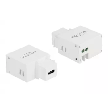Keystone modulis USB Type-C įkrovimo prievadas DeLOCK 87792