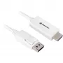 DisplayPort 1.2 adapter laidas Sharkoon 4K, 1 m