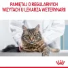 Sausas kačių ėdalas Royal Canin Hair & Skin Care 2 kg – vištiena, suaugusioms, 33% baltymų, 22% riebalų