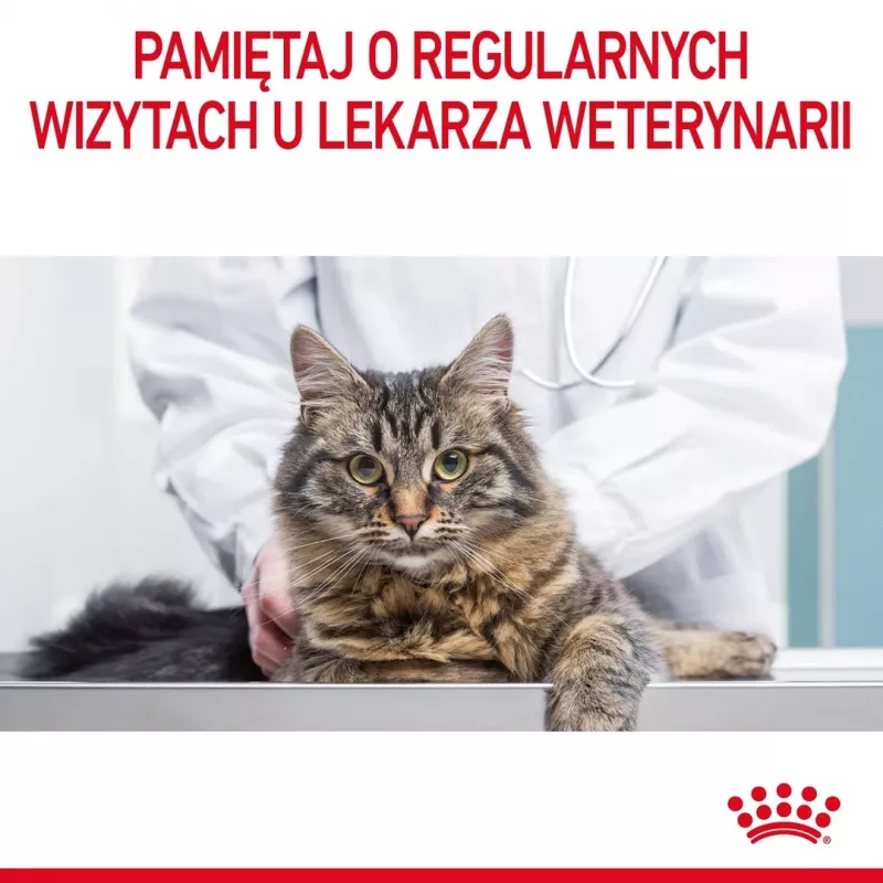 Sausas kačių ėdalas Royal Canin Hair & Skin Care 2 kg – vištiena, suaugusioms, 33% baltymų, 22% riebalų