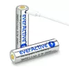 Baterija everActive 18650 3.7V Li-ion 2600mAh su micro USB ir apsauga DĖŽUTĖJE