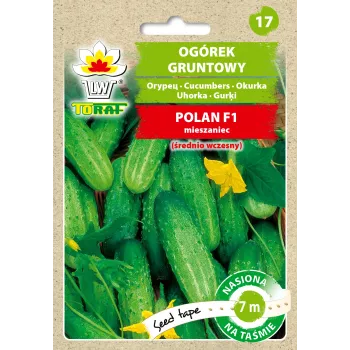 Agurkų Polan F1 sėklos ant juostos PNOS, 6 m juosta