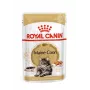 ROYAL CANIN FBN Maine Coon - Šlapias ėdalas katėms - paketėlis 12x 85g