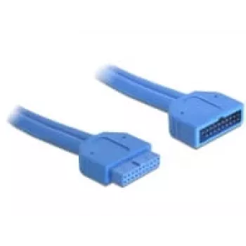 Vidinis USB kabelis DeLOCK 82943 0,45 m USB 3.2 Gen 1 vyriškas