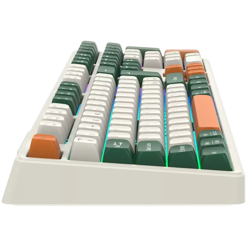 Belaidė mechaninė klaviatūra CANYON Shadder GKW-11 RGB balta