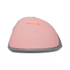 Pelė Baracuda BGM-084 Lobster Pink USB