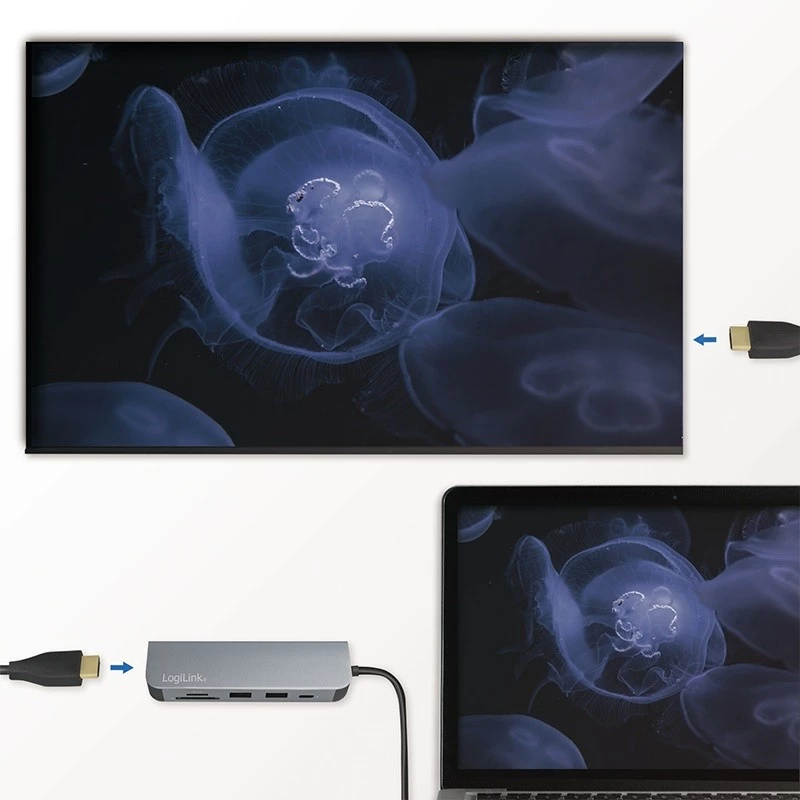 LogiLink UA0343 USB-C kelių prievadų jungtis aliuminis USB 3.2 2nd Gen