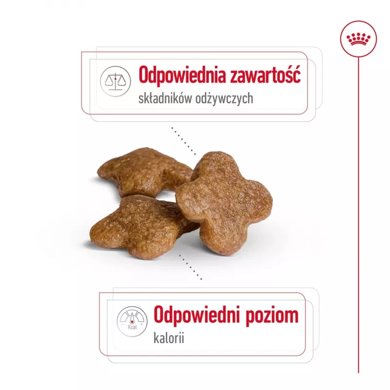 Sausas šunų ėdalas Royal Canin Mini Adult 8+ 2 kg – smulkioms veislėms 5–10 kg, paukštiena, svorio kontrolės formulė