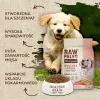 Sausas šunų ėdalas VETEXPERT Raw Paleo Healthy Grain Puppy Salmon and Barley 10 kg, baltymai 29%, riebalai 17%, drėgmė 9%