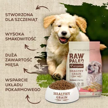 VETEXPERT Raw Paleo Healthy Grain Puppy Salmon & Barley sausas ėdalas šuniukams, 10 kg