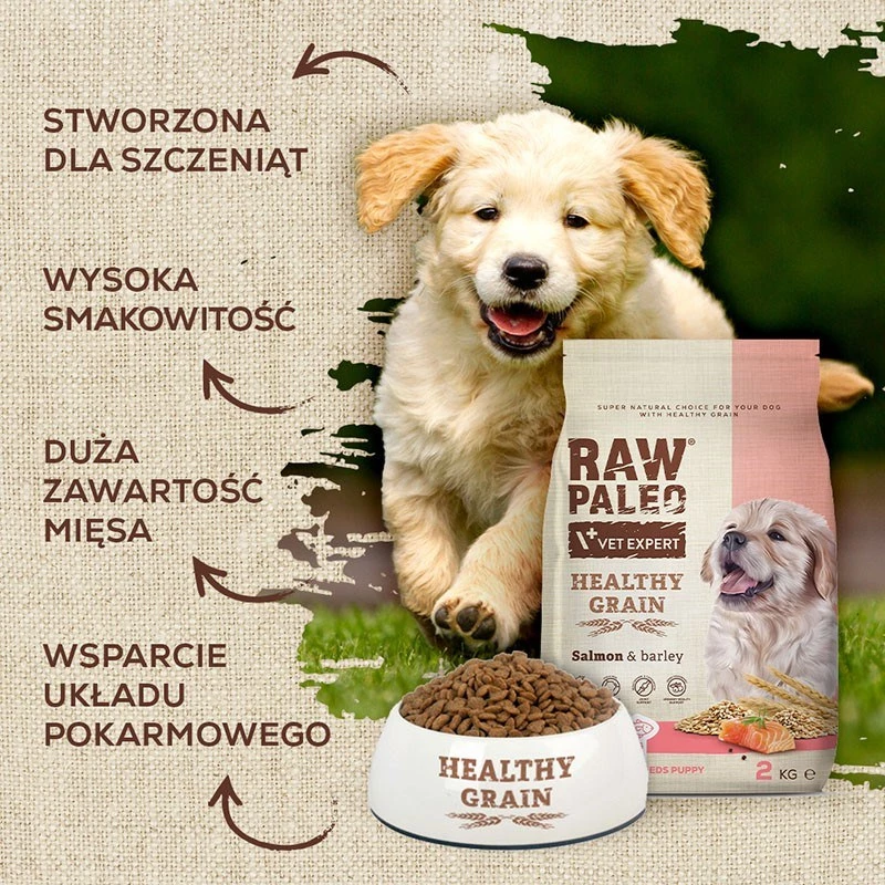 Sausas šunų ėdalas VETEXPERT Raw Paleo Healthy Grain Puppy Salmon and Barley 10 kg, baltymai 29%, riebalai 17%, drėgmė 9%
