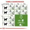 Royal Canin Outdoor sausas kačių maistas 2 kg