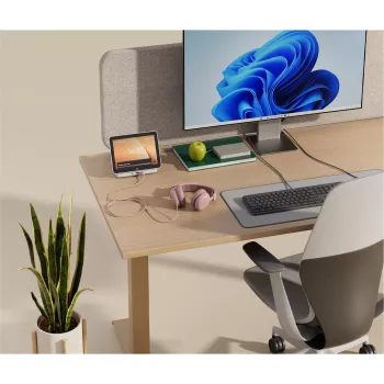 Logitech Zone Wired 2 verslo ausinės - USB-C/A - aktyvus triukšmo slopinimas - rožinė (981-001616)