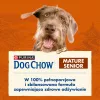 Sausas šunų ėdalas Purina Nestlé Dog Chow Mature Senior su ėriena 14 kg