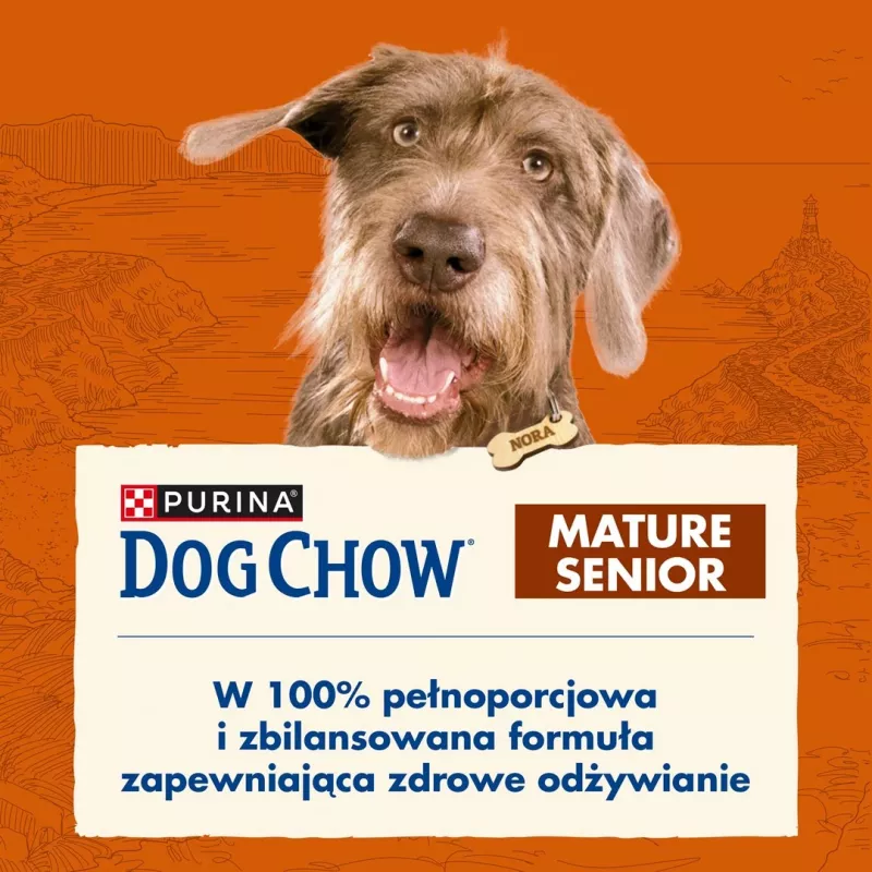 Sausas šunų ėdalas Purina Nestlé Dog Chow Mature Senior su ėriena 14 kg