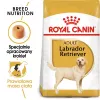 Royal Canin BHN Labrador Adult sausas ėdalas šunims, 12 kg