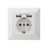 Apsauginis lizdas įmontuojamas Digitus DA-70613 su 2 USB prievadais