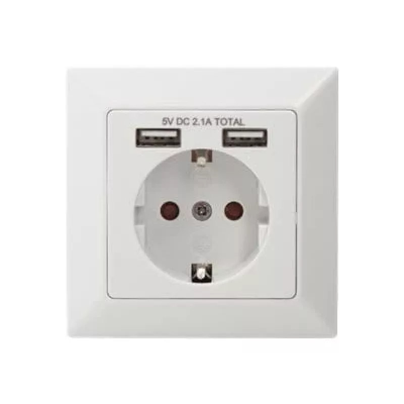 Apsauginis lizdas įmontuojamas Digitus DA-70613 su 2 USB prievadais