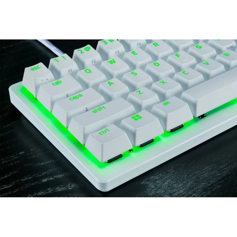 Razer RZ03-04990100-R3M1 klaviatūra žaidimams USB QWERTY JK tarptautinė balta
