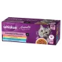 Šlapias kačių ėdalas WHISKAS Aromatic selection Mix – 40 x 85 g pakeliai, suaugusioms katėms, 83,6 % drėgmės