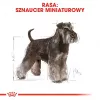 Sausas šunų ėdalas Royal Canin Miniature Schnauzer Adult, paukštiena, 3 kg, mažoms veislėms