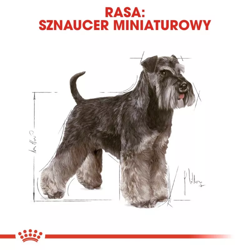 Sausas šunų ėdalas Royal Canin Miniature Schnauzer Adult, paukštiena, 3 kg, mažoms veislėms