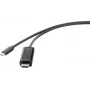 Renkforce RF-4531594 vaizdo kabelio adapteris 3 m USB Type-C – HDMI juodas (RF-4531594)