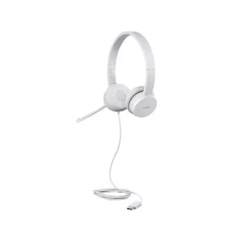 Lenovo GXD1E71385 ausinės / headset laidinės Skambučiai/Muzika USB Type-A Pilka