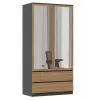 Topeshop SZAFA MALWA AN/AR L bedroom wardrobe/closet 5 shelves 2 durelės(s)