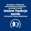 HILL'S Prescription Diet Kidney Care k/d Vištienos troškinys – šlapias šunų maistas – 400g
