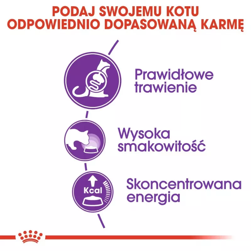Sausas kačių ėdalas Royal Canin Sensible 33 4 kg – suaugusioms katėms, paukštiena ir ryžiai, baltymai 33%, riebalai 22%