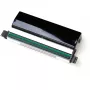 Zebra P1058930-009 spausdinimo galvutė termo perkėlimui